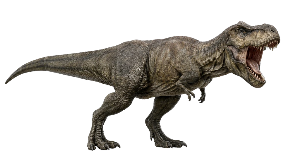 Tyrannosaurus rex